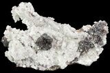 Sphalerite Cluster on Sparkling Dolomite - Elmwood Mine #71927-1